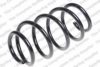 ROC CS7491 Coil Spring